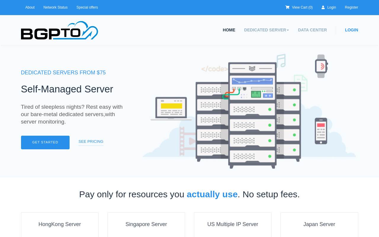 BGPTO 官網截圖