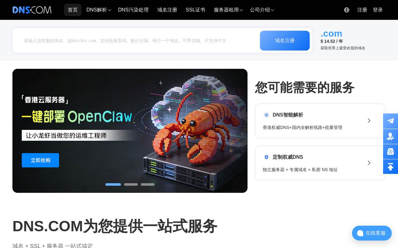 DNS.IO 官網截圖