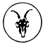 Allsaints (ca.allsaints.com)