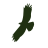 Eaglecreek