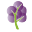 Grapetree