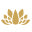 Satyajewelry